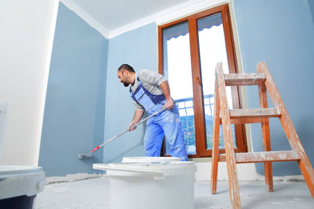 Trusted Ogden, NC Mold Removal Experts