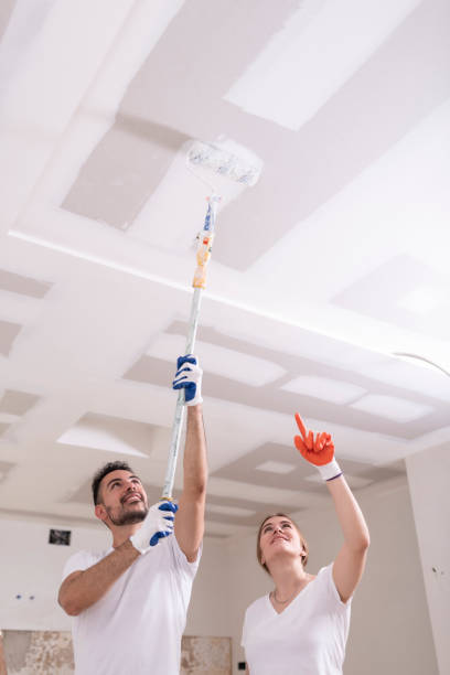 Dehumidification Services in Ogden, NC